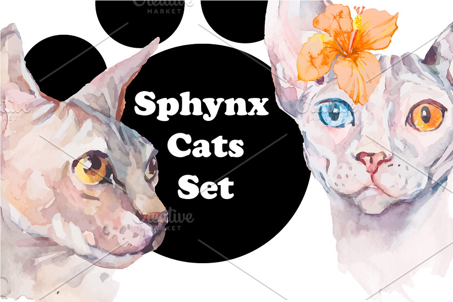 Watercolor Sphynx Cats Set