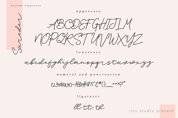Sureder Stylish Scipt Font in Script Fonts - product preview 9