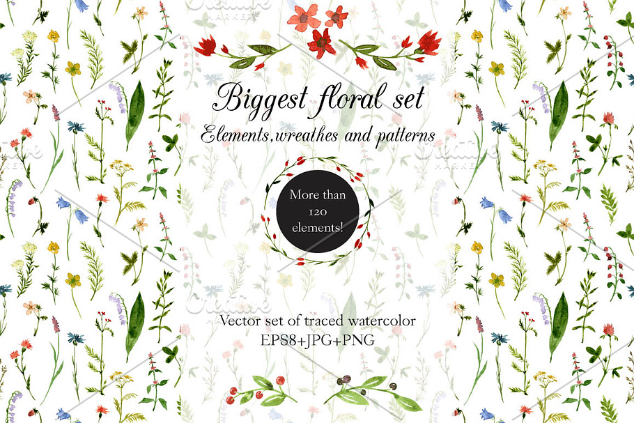 Biggest watercolor floral set in Illustrations - product preview 8
