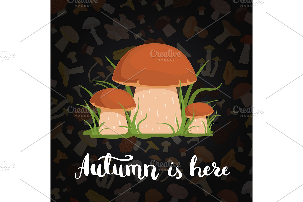 Vector background with cartoon mushrooms and lettering in Graphics - product preview 8