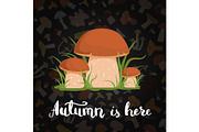 Vector background with cartoon mushrooms and lettering