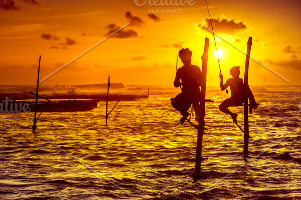 The stilt fishermen on the sunset background.