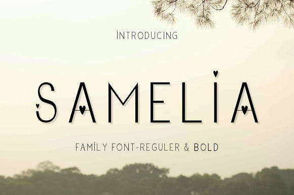 Samelia Family Font in Sans-Serif Fonts - product preview 8