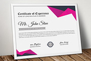 Company Word Certificate Template
