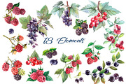  Watercolor Berries Set