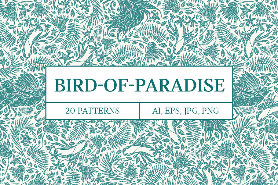 Bird-of-Paradise patterns