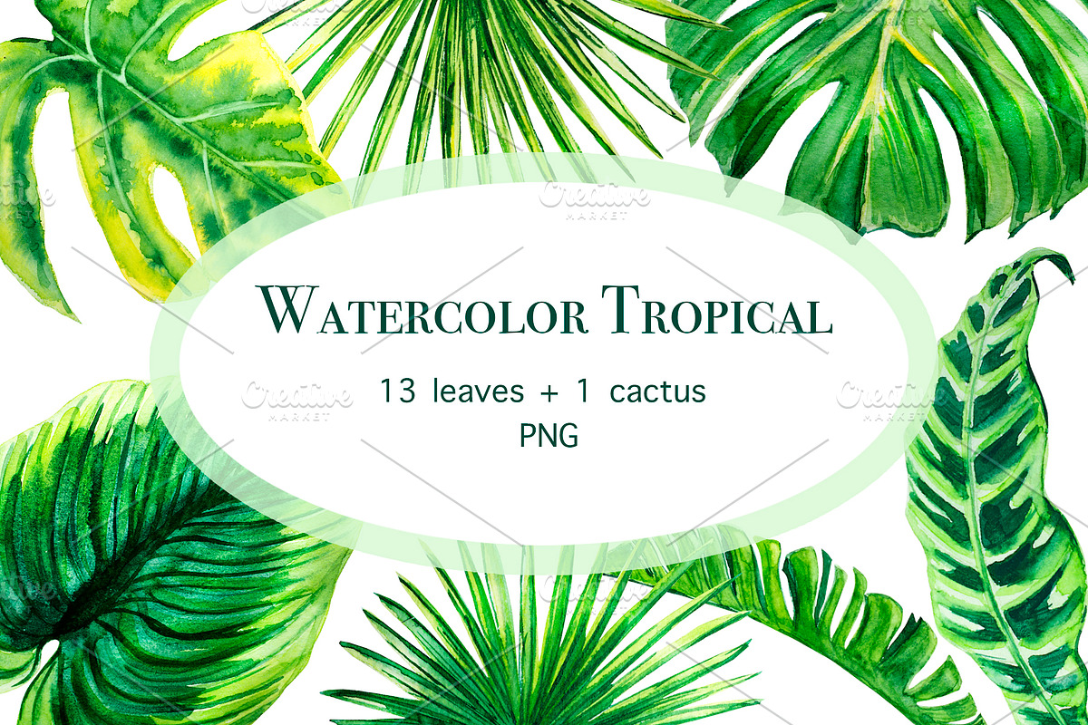 Tropical leaves watercolor in Illustrations - product preview 8