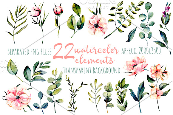 Eucalyptus. Big floral collection. in Illustrations - product preview 1