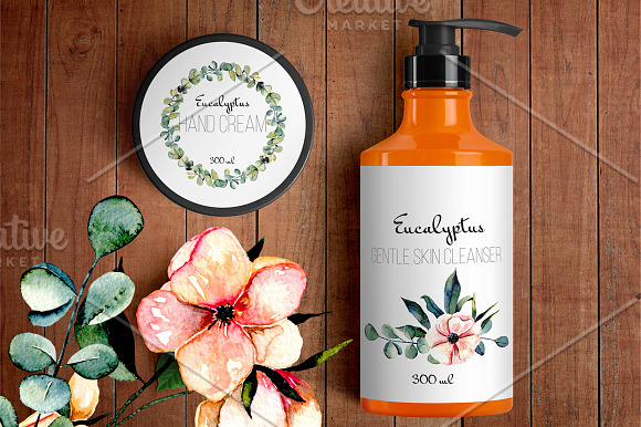 Eucalyptus. Big floral collection. in Illustrations - product preview 6