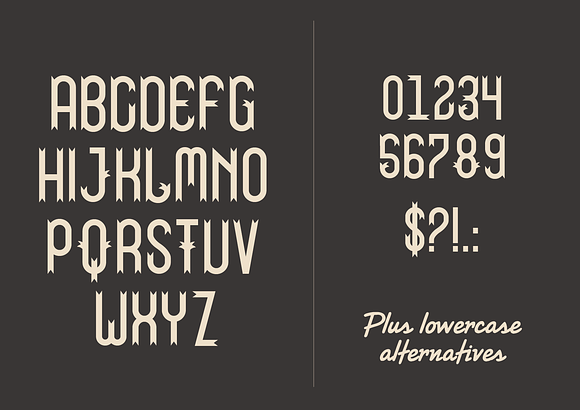 Carnival  |  Unique Display Typeface in Circus Fonts - product preview 7