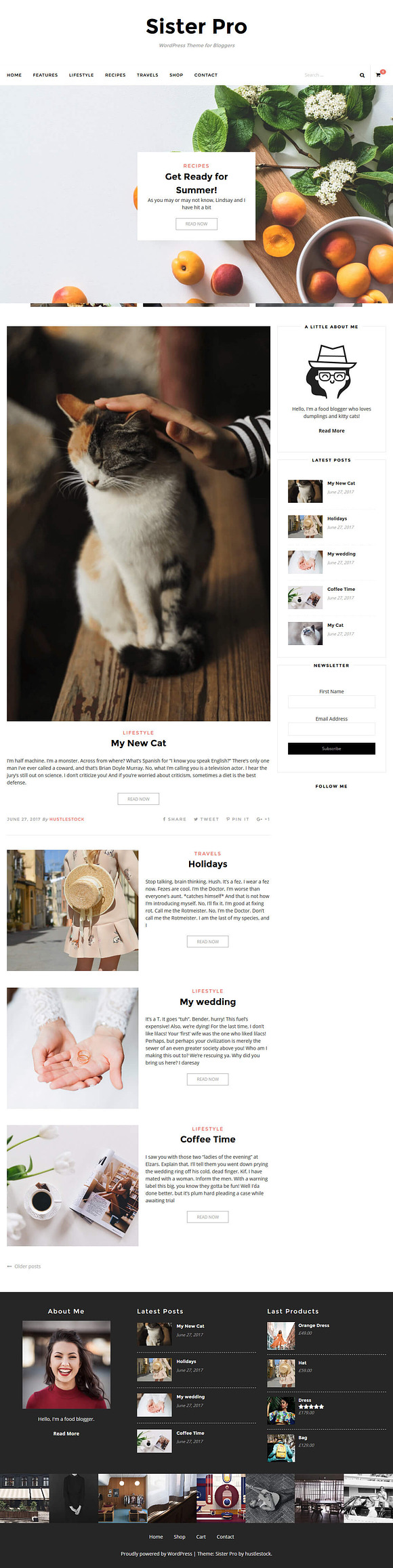 Sister - eCommerce Theme in WordPress Blog Themes - product preview 2