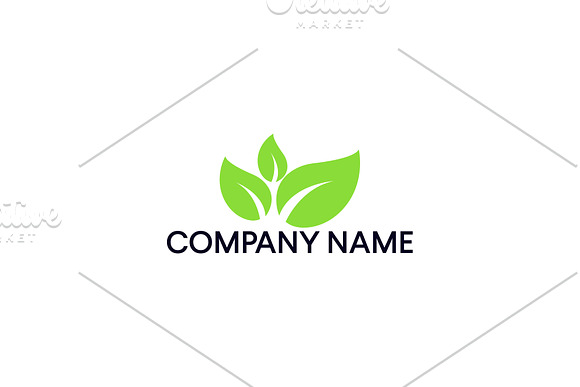 Leaves logo design | Free UPDATE in Logo Templates - product preview 1