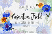 Carnation field PNG watercolor set