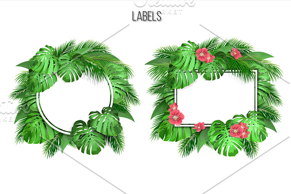 Vector tropical set. in Illustrations - product preview 1