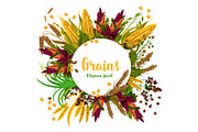 Vector grains fresh organic food poster