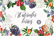 Summer watercolor berries