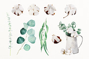 Eucalyptus & cotton watercolor set