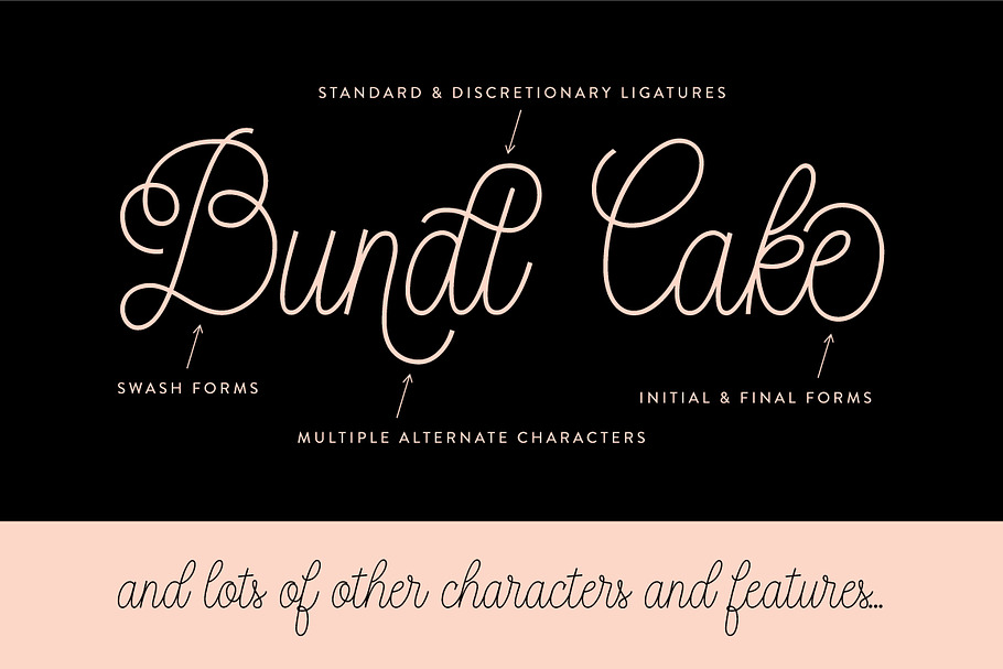 Bundt Cake Script Font
