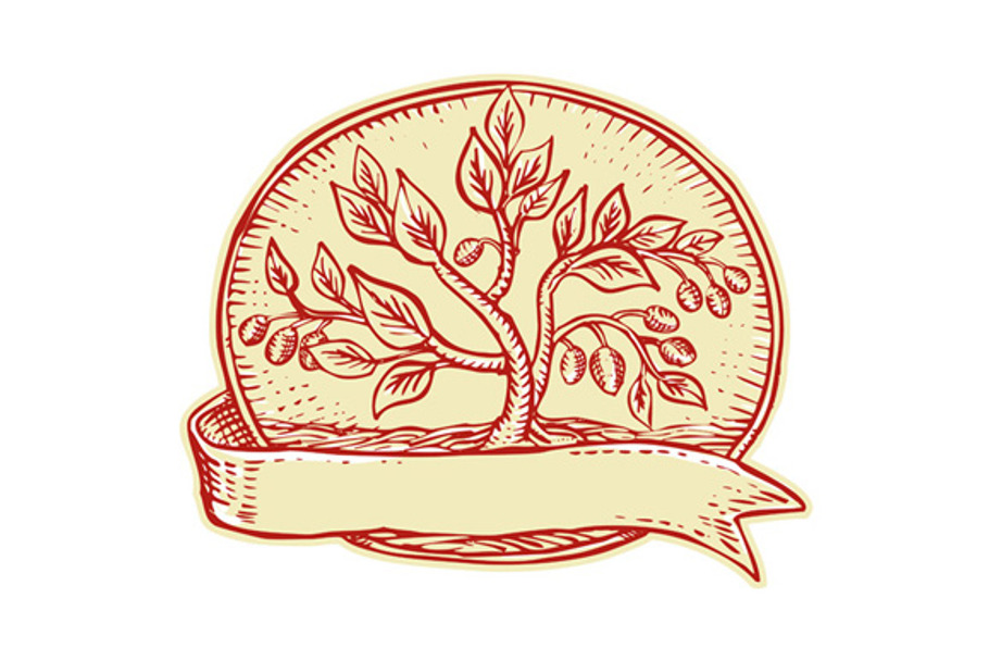 Olive Tree Ribbon Oval Etching in Illustrations - product preview 8