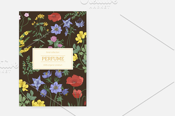 Blooming wild flowers in Illustrations - product preview 4
