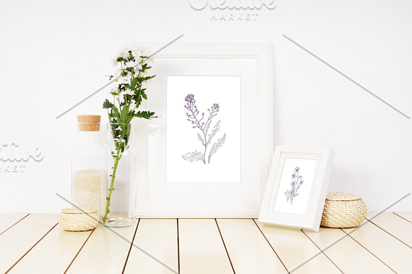 Blooming wild flowers in Illustrations - product preview 6