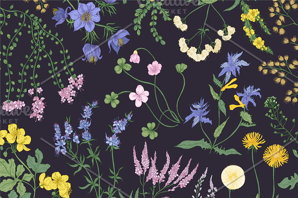 Blooming wild flowers in Illustrations - product preview 7