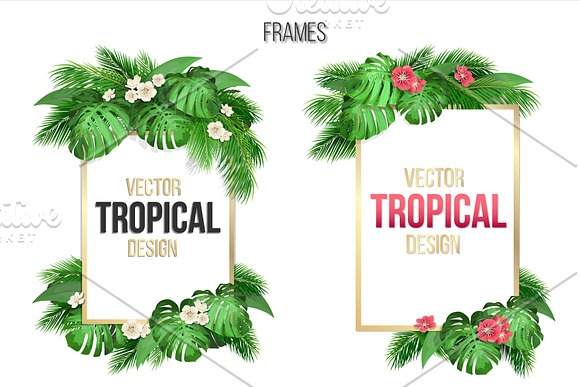 Vector tropical set. in Illustrations - product preview 2