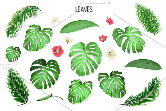Vector tropical set. in Illustrations - product preview 3