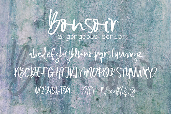 Bonsoir Script in Script Fonts - product preview 8