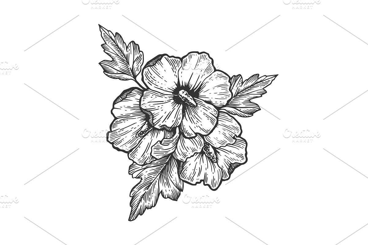 Hibiscus flower engraving vector illustration in Illustrations - product preview 8