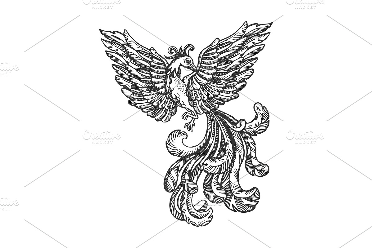 Firebird animal engraving vector illustration in Illustrations - product preview 8