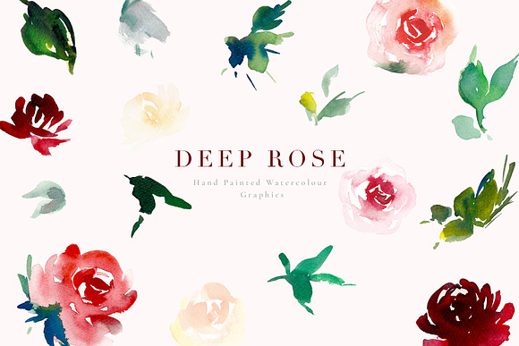 Watercolour Flowers - Deep Rose in Illustrations - product preview 1