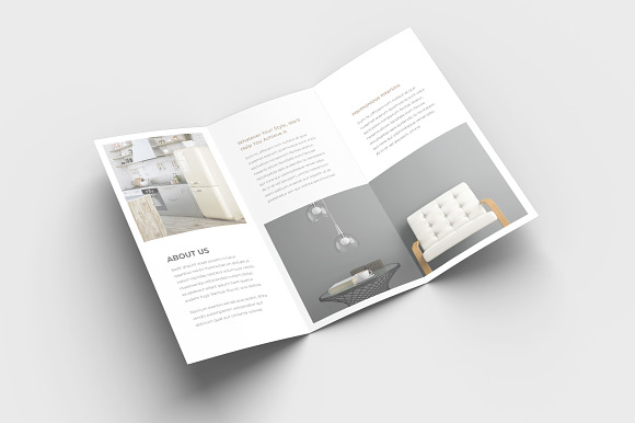 Lynx Trifold Brochure in Brochure Templates - product preview 2