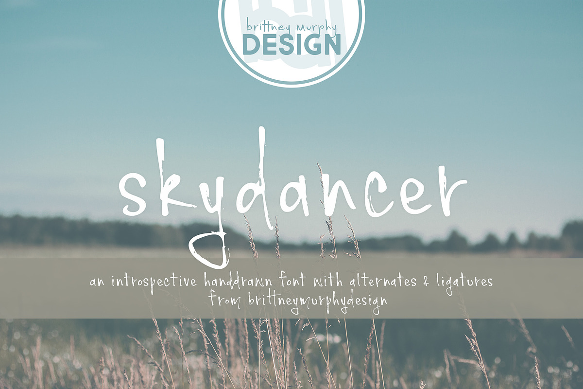Skydancer in Script Fonts - product preview 8