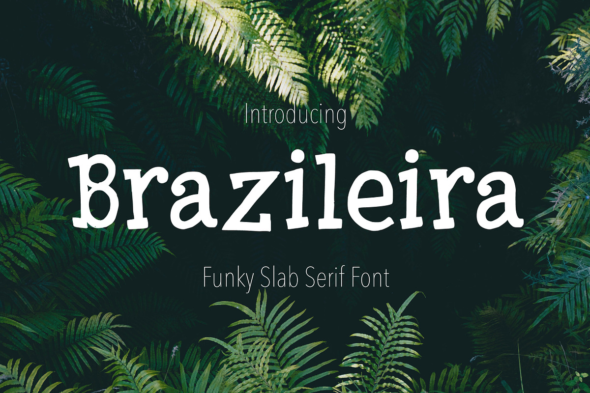 Brazileira - Slab Serif Font in Slab Serif Fonts - product preview 8
