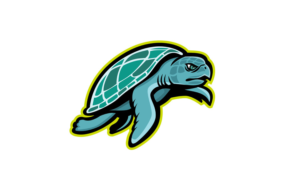 Ridley Sea Turtle Mascot
