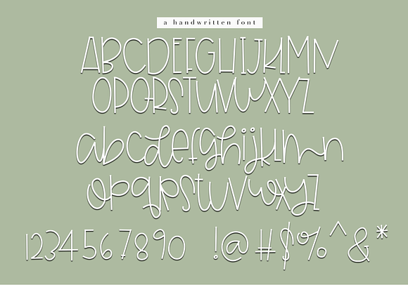 Aloe - A Handwritten Font in Display Fonts - product preview 6