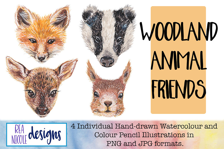Woodland Animal Friends Clip Art in Illustrations - product preview 8