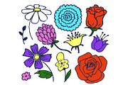 Pretty Color Flowers Aggregate Vector Illustration
