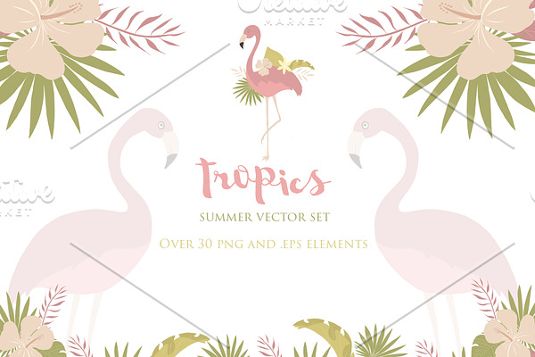 Summer Tropics Vector Set