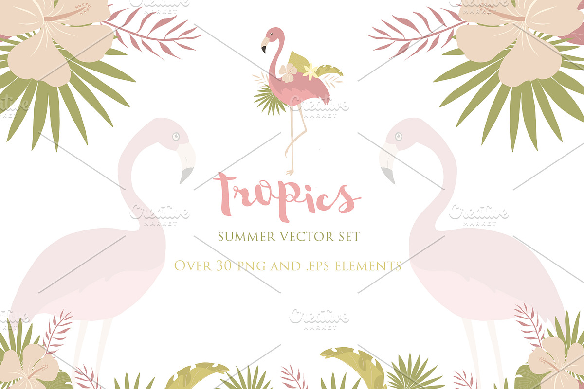 Summer Tropics Vector Set in Illustrations - product preview 8