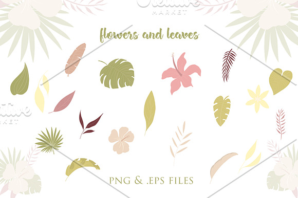 Summer Tropics Vector Set in Illustrations - product preview 4