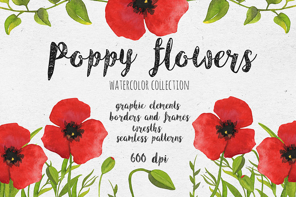 Poppy flowers. Watercolor collection