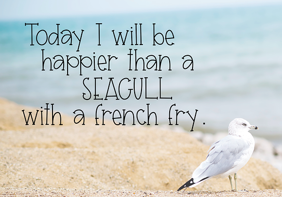 Seagull - A Handwritten Font in Display Fonts - product preview 2
