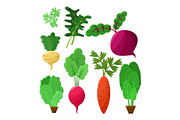 Vitaminic Vegetable Collection Color Vector Poster