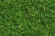 Lush Seamless Grass Texture