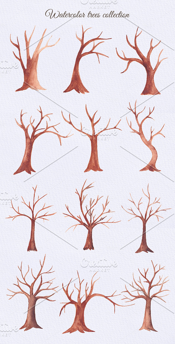 41 Watercolor trees collection in Graphics - product preview 2