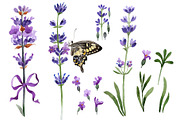 Violet fragrant lavender PNG set