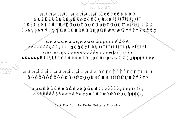 Dark Fox Font in Display Fonts - product preview 5