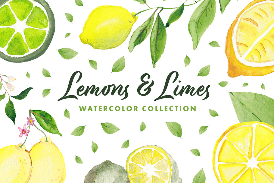 Lemons & Limes Watercolor Collection in Illustrations - product preview 8